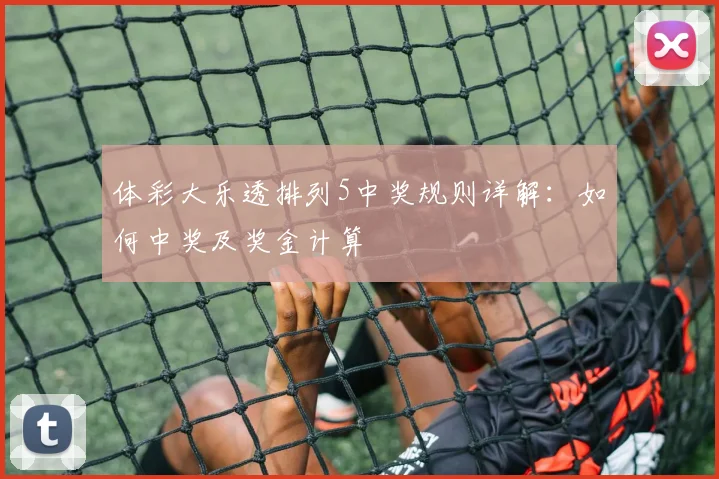 体彩大乐透排列5中奖规则详解:如何中奖及奖金计算